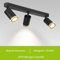Justerbar takskena med spotlights