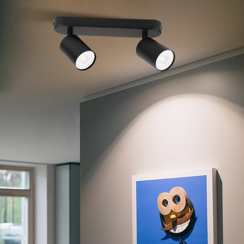 Justerbar takskena med spotlights