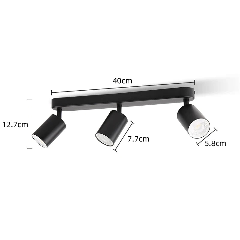 Justerbar takskena med spotlights