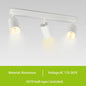 Justerbar takskena med spotlights